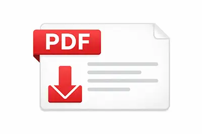 PDF File